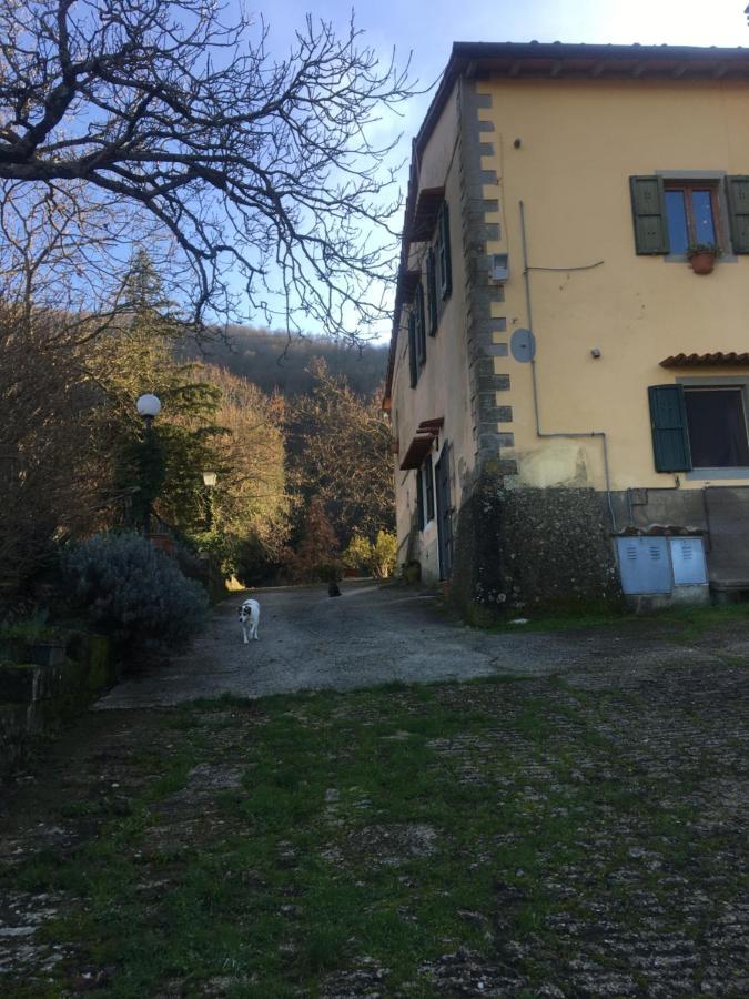 Welcome In Toscana Polcanto Eksteriør bilde